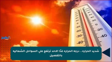 شديد الحرارة.. درجة الحرارة غدًا الأحد ترتفع على السواحل الشمالية بالتفصيل